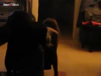 Homemade beastiality sex with slut and dog